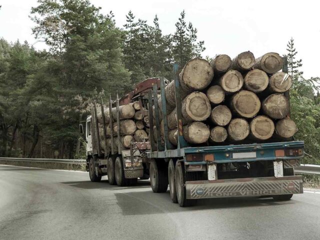inner_big_trucks_01 https://chinologiejudiciara.ro/wp-content/uploads/2017/08/inner_big_trucks_01-640x480.jpg