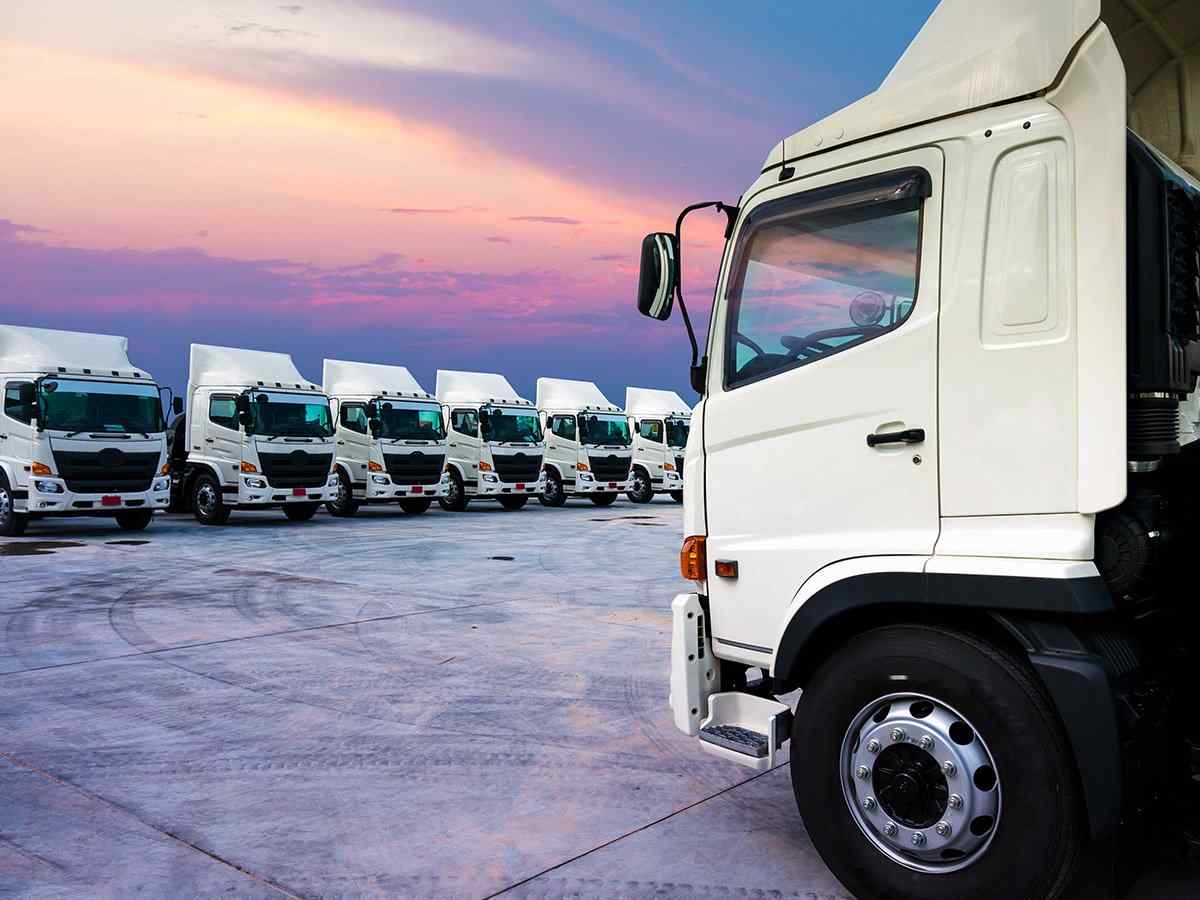 https://chinologiejudiciara.ro/wp-content/uploads/2017/08/inner_big_trucks_02.jpg